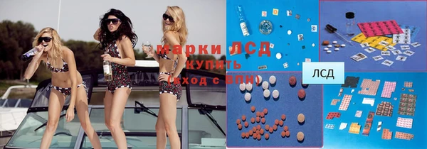 индика Алексин