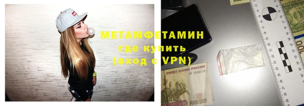 индика Алексин