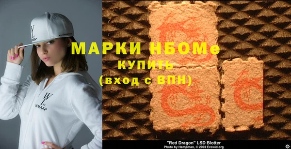 индика Алексин