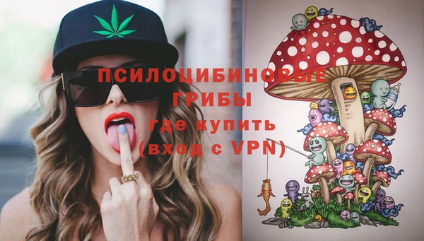 индика Алексеевка