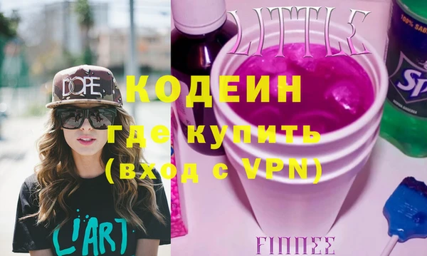 индика Алексин
