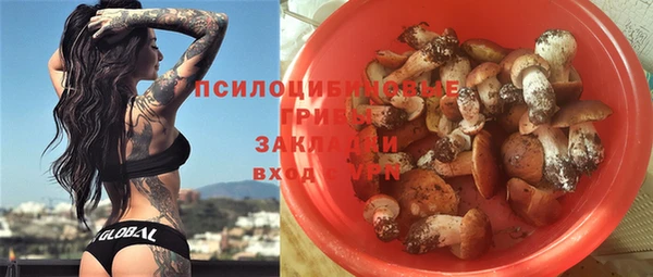 индика Алексин