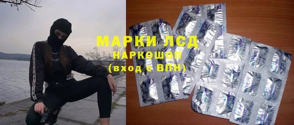 индика Алексин