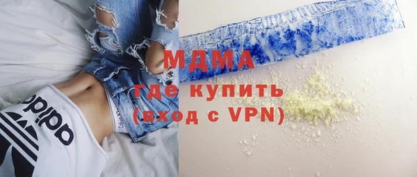 индика Алексин