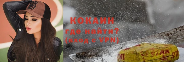 индика Алексеевка
