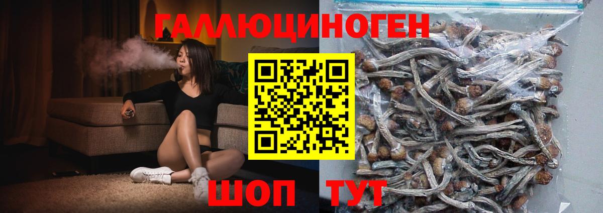 Галлюциногенные грибы Cubensis  Вход с VPN  Амурск 